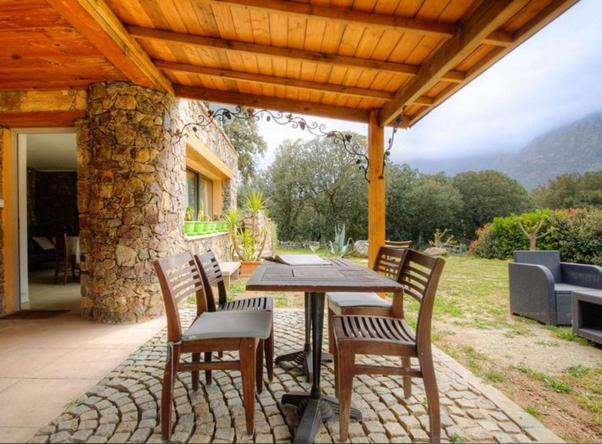 Studio Confortable Avec Vue Sur La Montagne A Moltifao 30M² Jardin 외부 사진