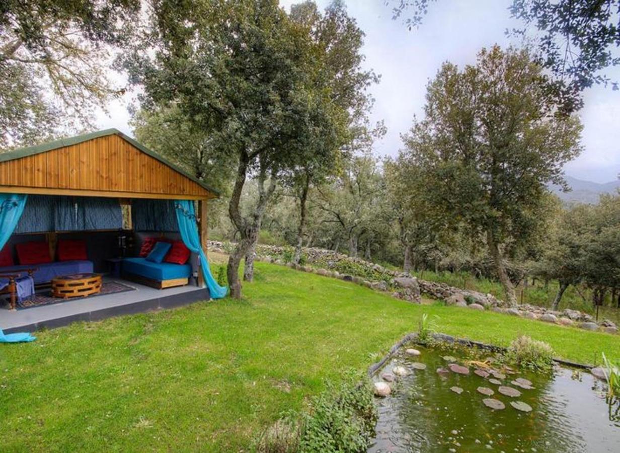 Studio Confortable Avec Vue Sur La Montagne A Moltifao 30M² Jardin 외부 사진