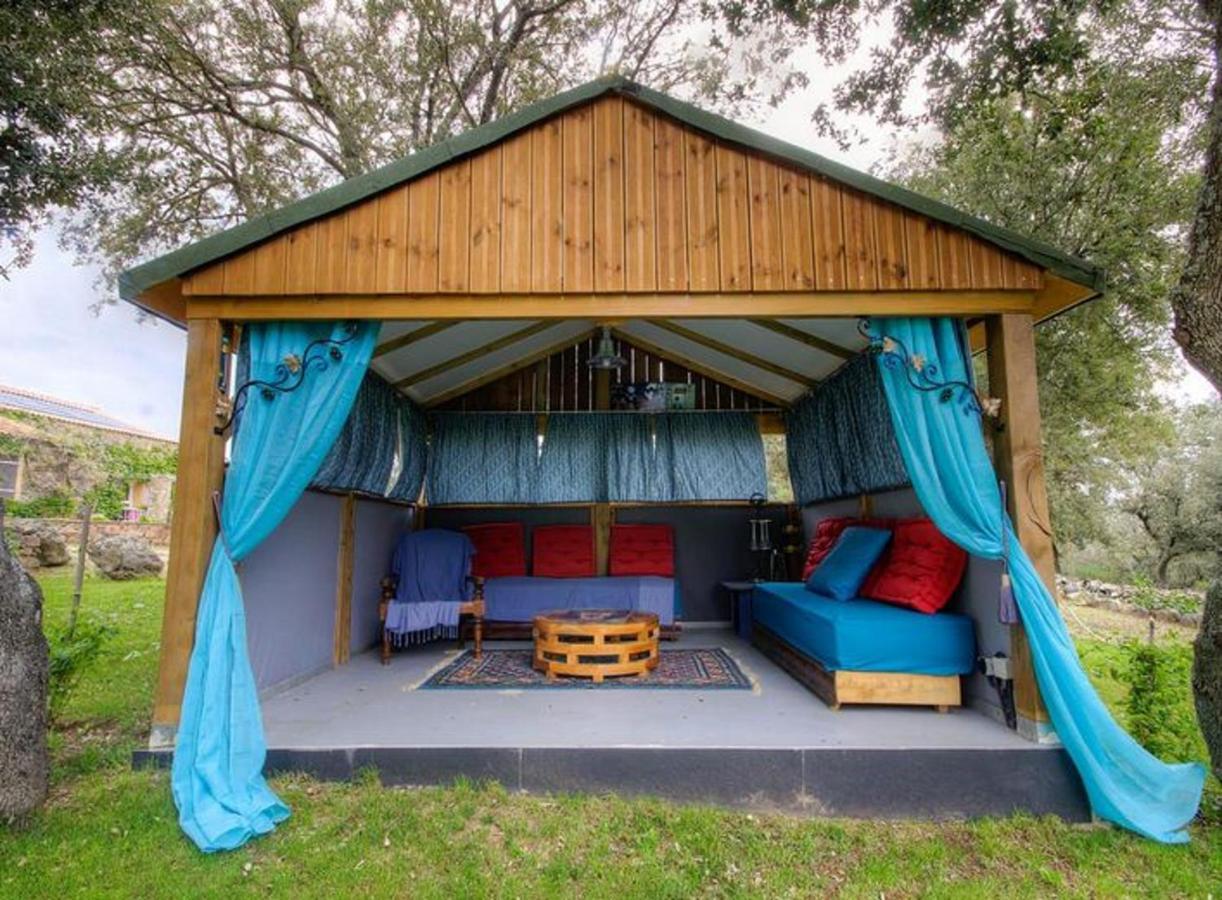 Studio Confortable Avec Vue Sur La Montagne A Moltifao 30M² Jardin 외부 사진