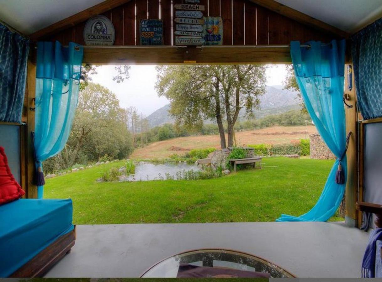 Studio Confortable Avec Vue Sur La Montagne A Moltifao 30M² Jardin 외부 사진