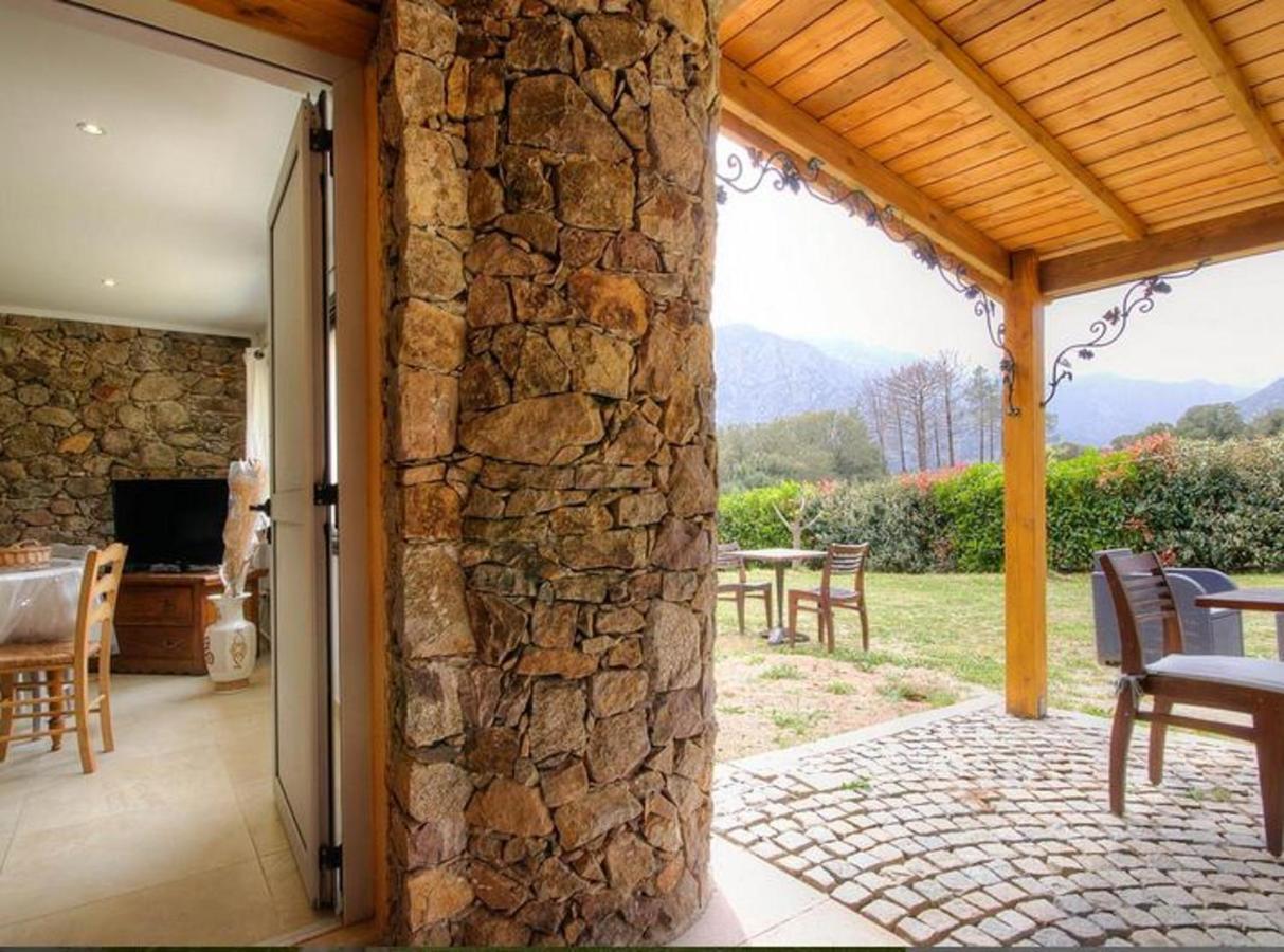 Studio Confortable Avec Vue Sur La Montagne A Moltifao 30M² Jardin 외부 사진