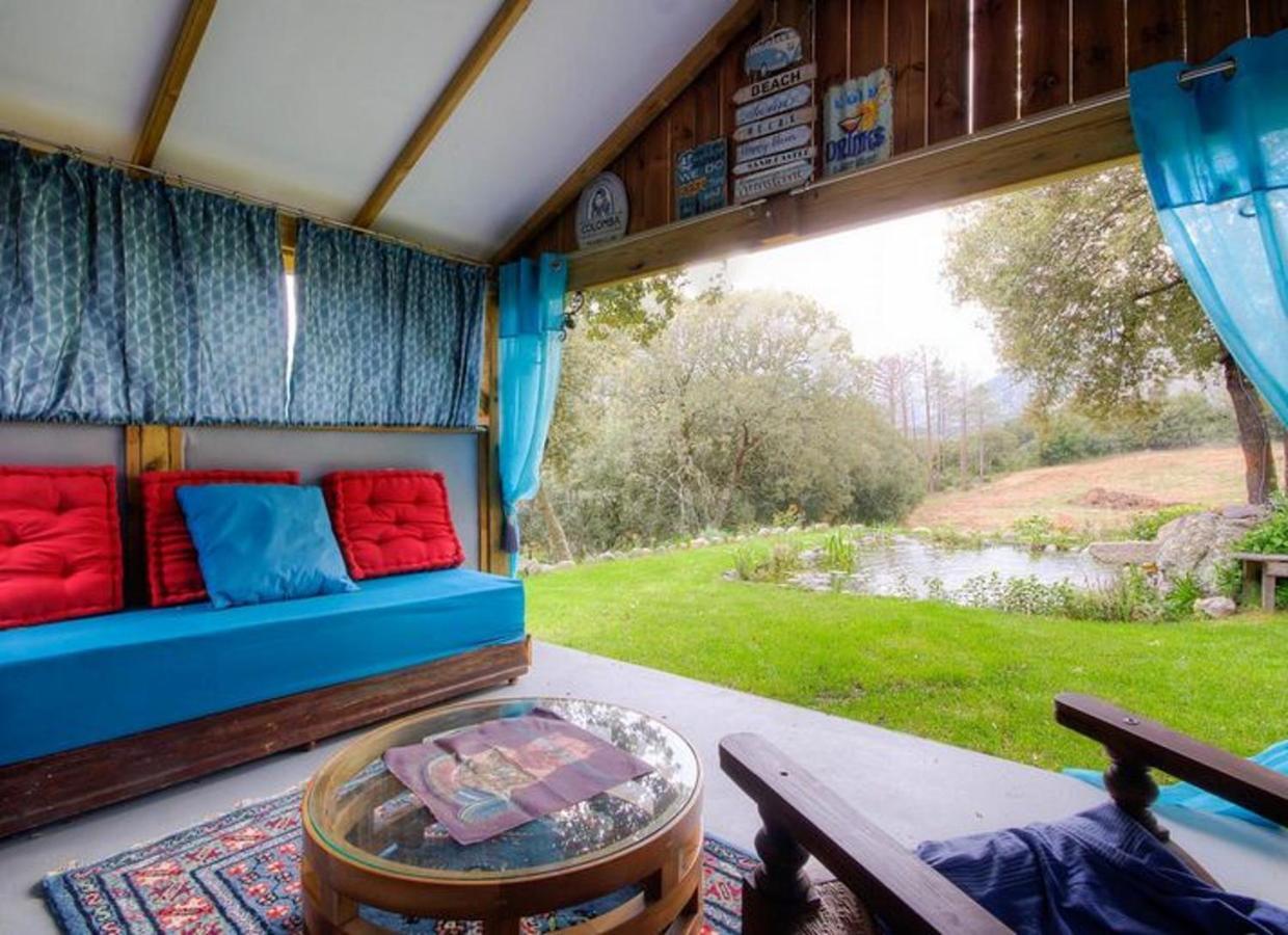 Studio Confortable Avec Vue Sur La Montagne A Moltifao 30M² Jardin 외부 사진