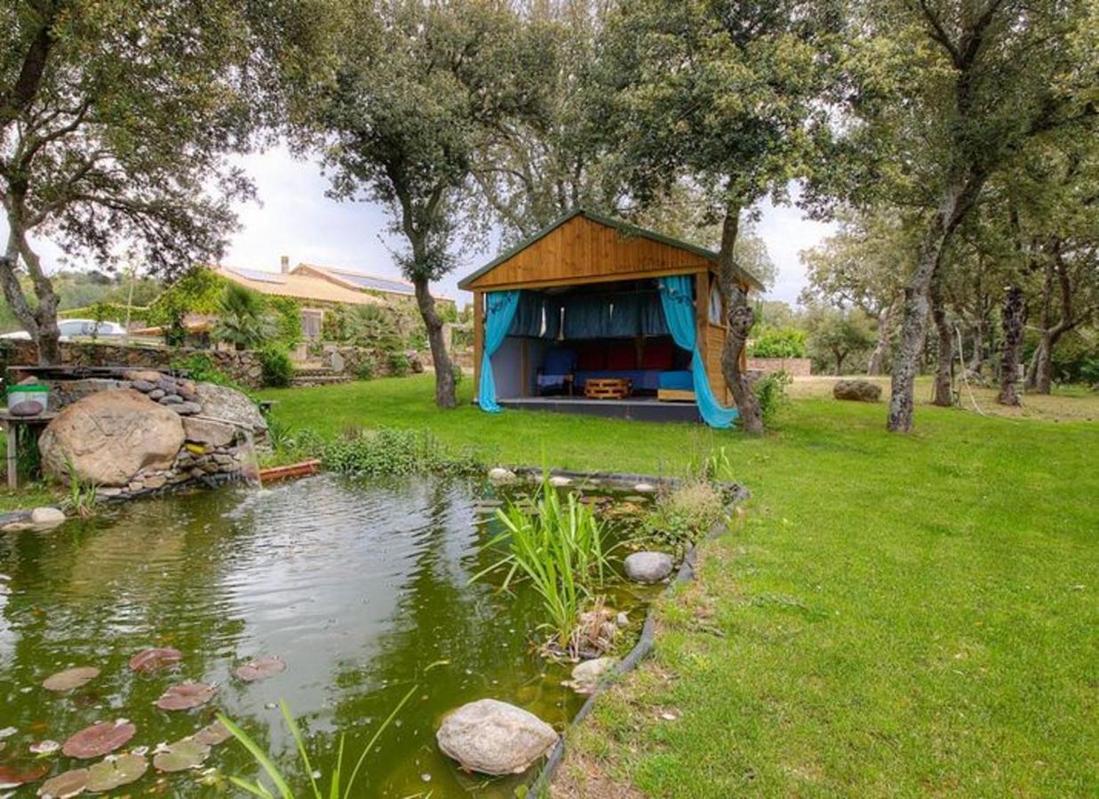 Studio Confortable Avec Vue Sur La Montagne A Moltifao 30M² Jardin 외부 사진